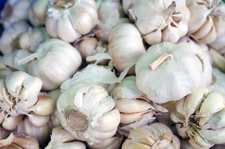 Summer Garlic Varieties