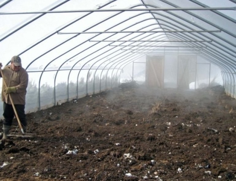 Greenhouse processing in the fall