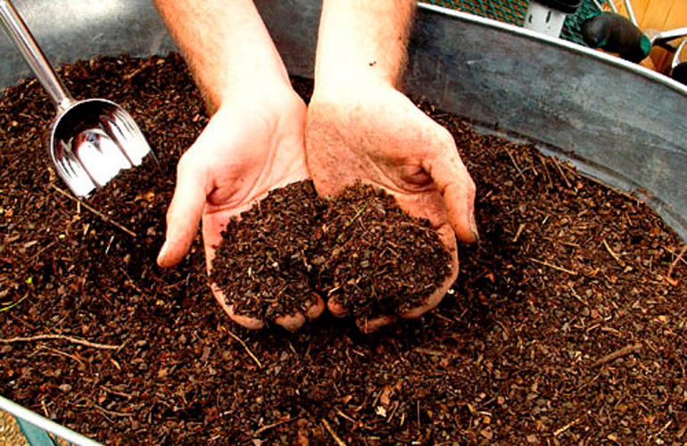 تسميد التربة قبل زراعة البصل