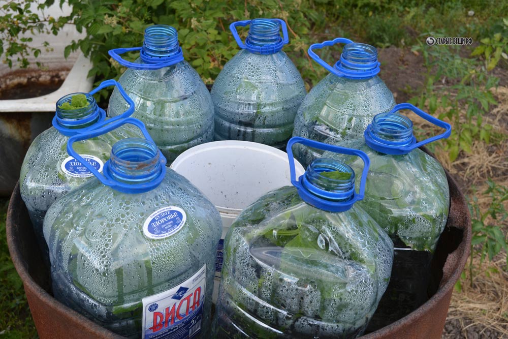 Bottled Cucumbers