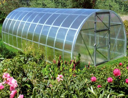when to plant seedlings in a greenhouse