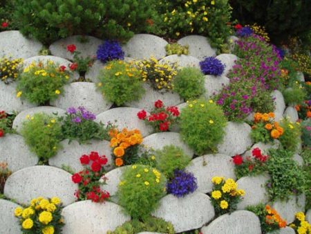 flowerbed of stones