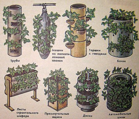 examples of vertical flower beds