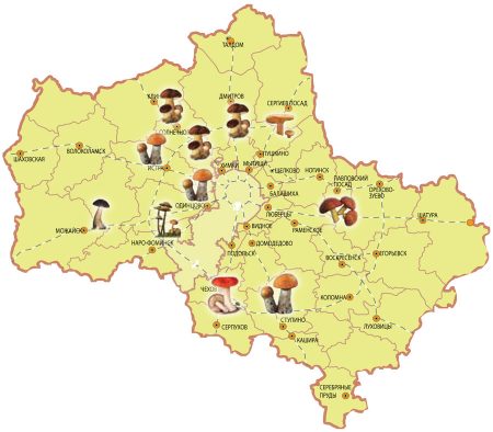 Mapa de hongos de la región de Moscú