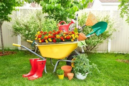Calendario lunar para el jardinero de mayo de 2017
