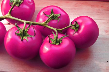 Nouvelles variétés de tomates de la sélection sibérienne pour 2016