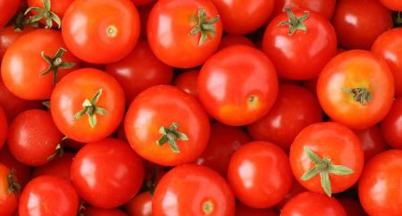 Най-добрите сортове домати за 2017 година