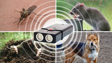 ultrasound against rodents