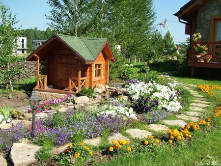 Hoe een cottage plot uit te rusten met je eigen handen 6 hectare