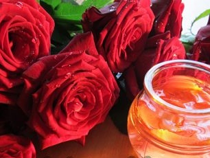 Förökning av rosor med sticklingar