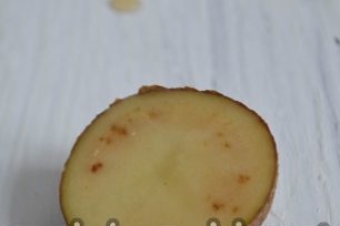 cut potato tuber for growing roses from a bouquet