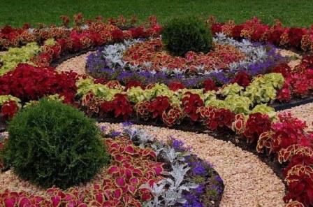 flower beds and flower beds do-it-yourself