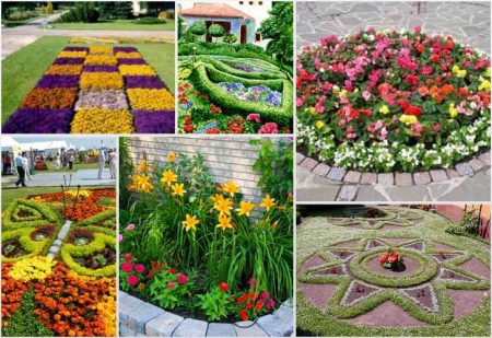 Beautiful flower beds from perennials