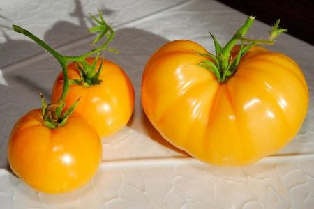 Tomat Persimmon: caracteristici și descrierea soiului