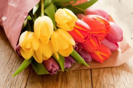 Hogyan lehet friss tulipánokat tartani a hűtőben
