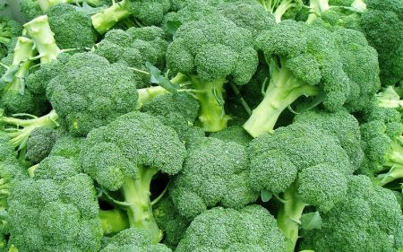 Broccoli, variëteiten