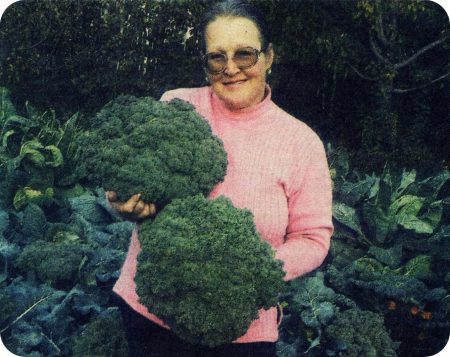 Broccoli, sorter och hybrider