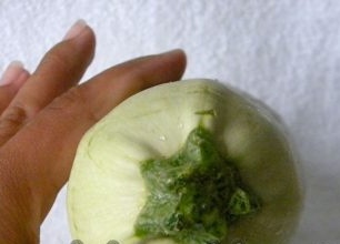 Hur man odlar zucchini i den öppna marken