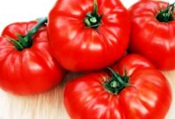 bear paw tomaat beoordelingen