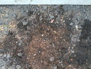 Humusul amestecat cu solul scos din groapă în raport de la unu la unu