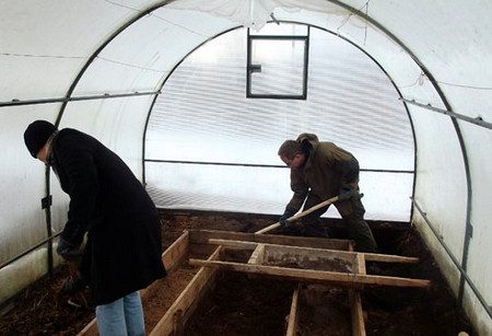 How to process a greenhouse in spring