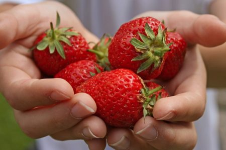Strawberry dressing during flowering and fruiting