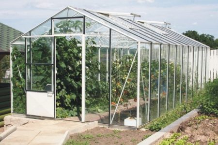 How to choose the right greenhouse for a summer residence