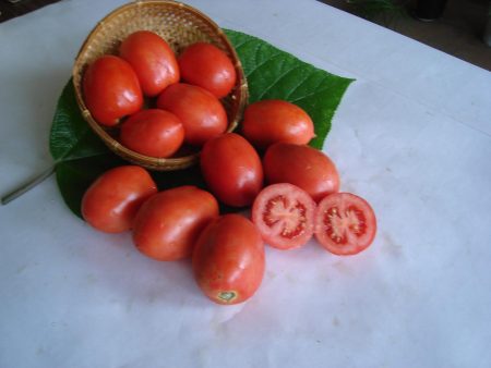 description de la navette tomate