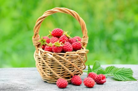 care raspberry spring tips experienced gardeners
