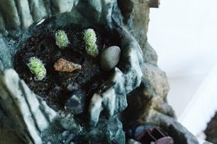 Kami menghiasi komposisi succulents dengan batu