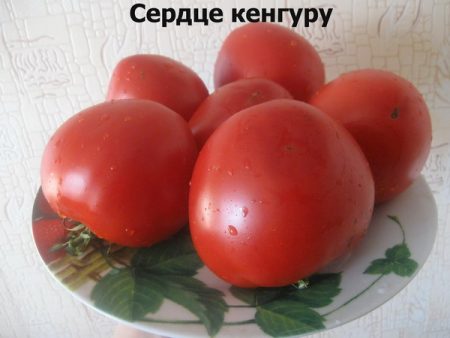 Semințe de roșii: soiurile cele mai productive