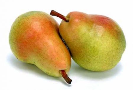 Pear Just Maria: описание, снимка, отзиви
