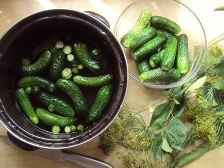 Salted cucumbers, a quick recipe in a pan