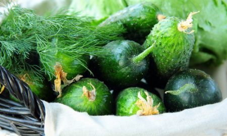 Salted cucumbers in a package, quick recipe in 5 minutes