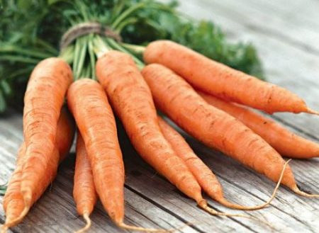 Кога да извадите морковите от леглата за съхранение