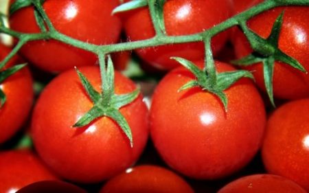 ondermaatse geoogste tomaten