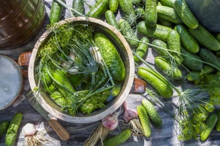  Gezouten komkommers, een snel recept in een pan