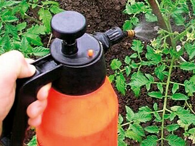חומצה בורית לצמחים, שימוש בעגבניות