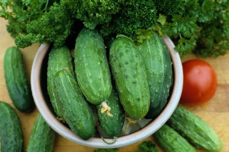 What to plant after cucumbers next year