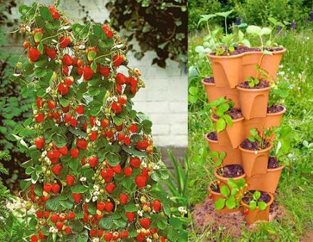 Do-it-yourself tall strawberry beds