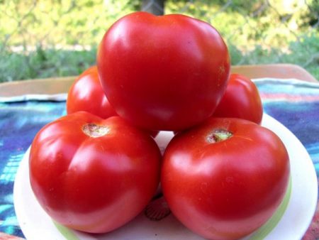 tomat-krasnym-Красно