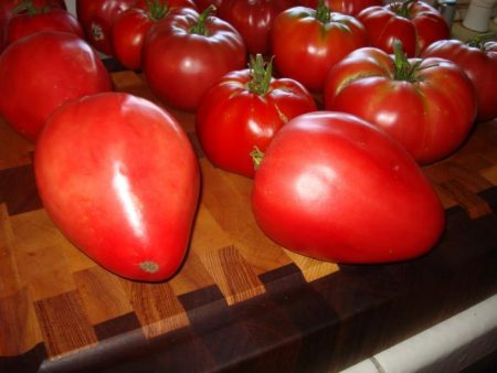 tomate kardinal