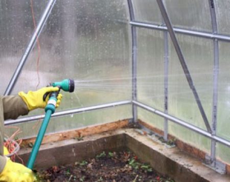 Processing greenhouses from pests in the fall