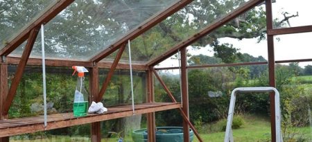 Az üvegházak őszi feldolgozása kártevők és betegségek ellen