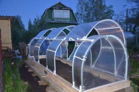 Do-it-yourself greenhouse made of polycarbonate and plastic pipes