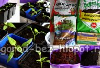 Как да подготвим почва за разсад у дома