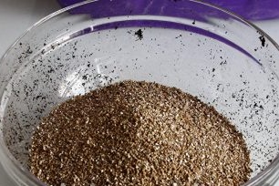 vermiculit