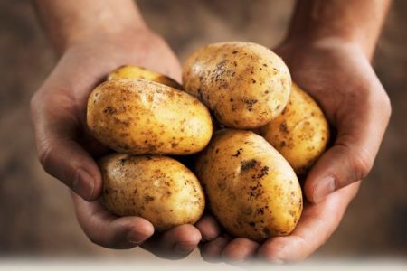 מזל תפוחי אדמה: תיאור ומאפייני המגוון, תמונות, ביקורות