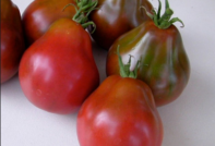 Japansk tryffel för tomat: egenskaper och beskrivning av variationen, recensioner, foton