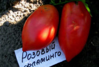 פלמינגו ורוד עגבניות: מאפיינים ותיאור של מגוון, ביקורות, תמונות